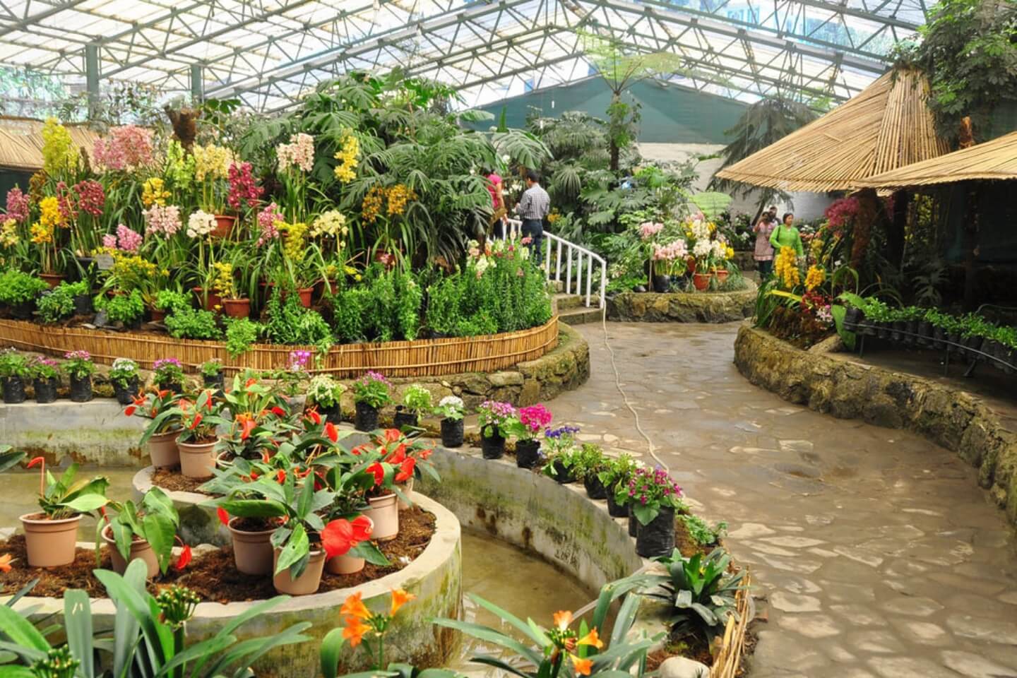 Deorali Orchid Sanctuary