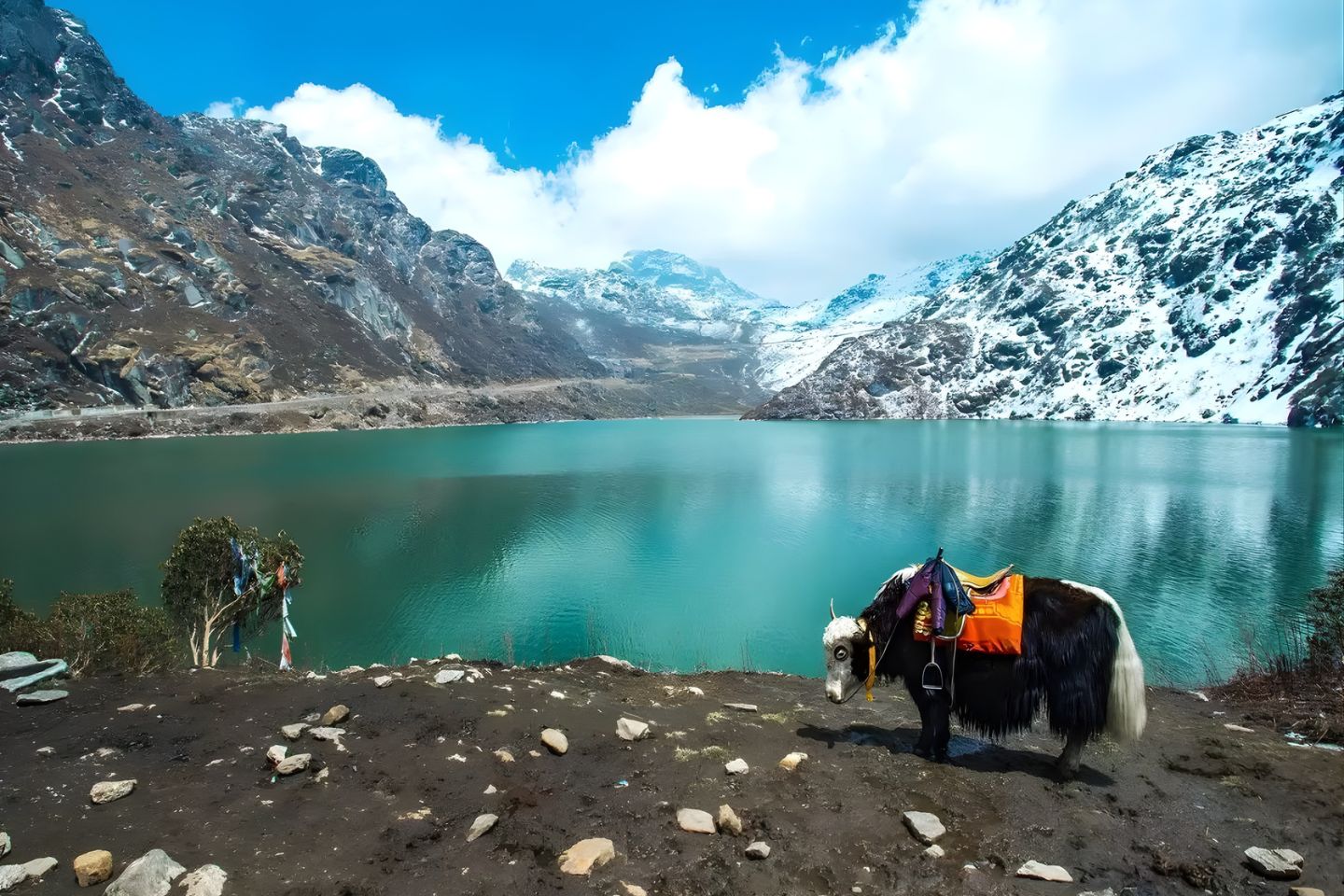 Gangtok Tour Packages for Couples